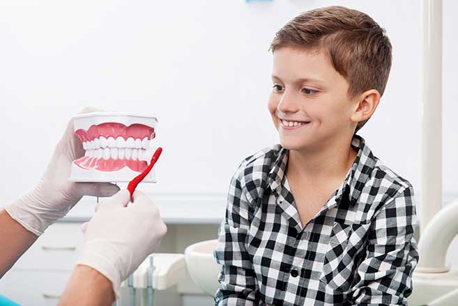 Young boy in a checkered plaid shirt watching a dental hygienist show how to brush teeth of a model of a person's mouth